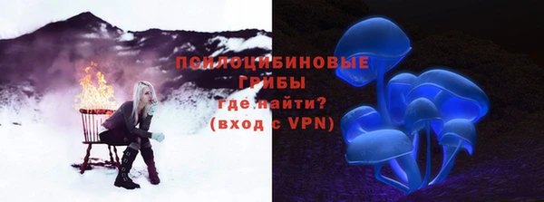 тгк Коряжма