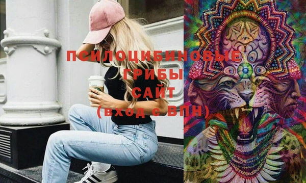 тгк Коряжма