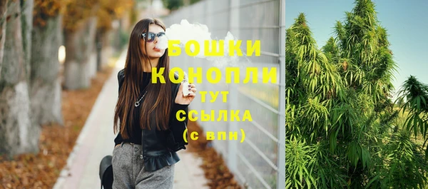 тгк Коряжма